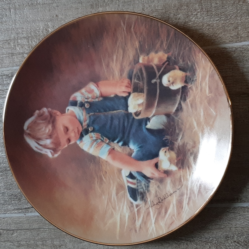 Collector plate